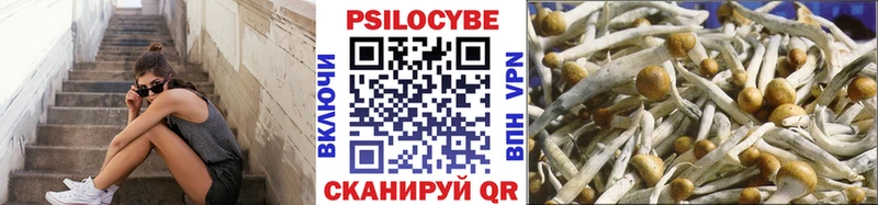 Галлюциногенные грибы мицелий  kraken рабочий сайт  Тобольск  где можно купить наркотик 